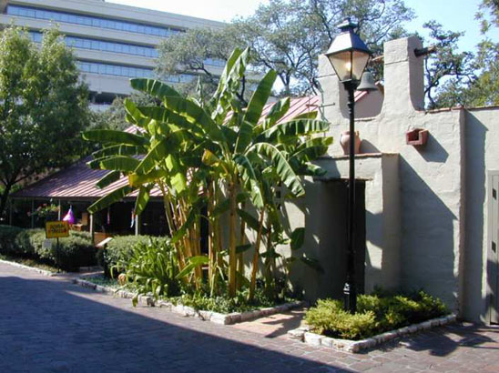 Saldana Architects